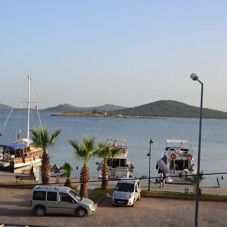 Aliye Hanim *