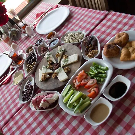 게스트하우스 Aliye Hanim Ayvalı