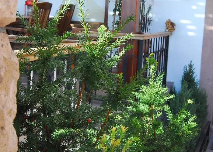 Guest house Aliye Hanim 4*