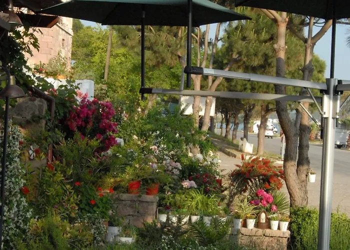 Guest house Aliye Hanim 4*