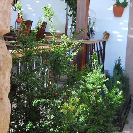 Guest house Aliye Hanim 4*